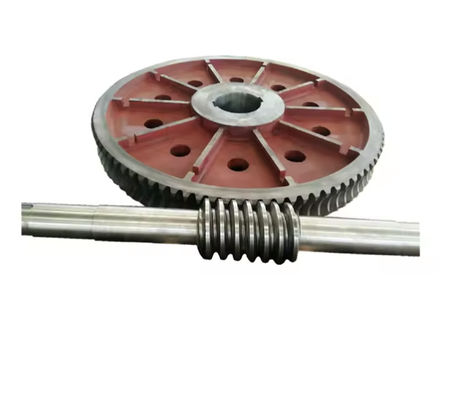 High Strength Custom Worm Gears Shaft Large Worm Gear OEM Available